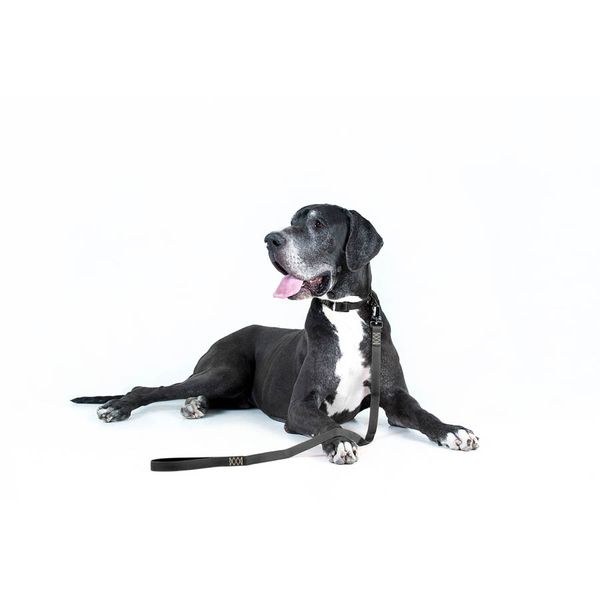 Поводок для собак супер прочный EVOLUTOR, черный 42121 фото