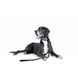 Поводок для собак супер прочный EVOLUTOR, черный 42121 фото 4