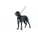 Повідець для собак супер міцний EVOLUTOR, чорний 42121 фото 3