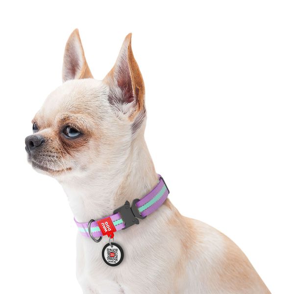 Ошейник для собак нейлоновый WAUDOG Nylon c QR паспортом, светящийся/светоотражающий, металлическая пряжка-фастекс 52149 фото
