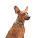 Нашийник для собак з відновленої бавовни WAUDOG Re-cotton з QR паспортом, світловідбивний, пластиковий 028618 фото 5