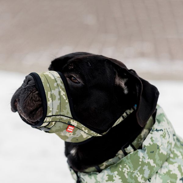 Намордник для собак WAUDOG Nylon, рисунок "Милитари", пластиковый фастекс, размер L (25-34 см) 352-4026 фото