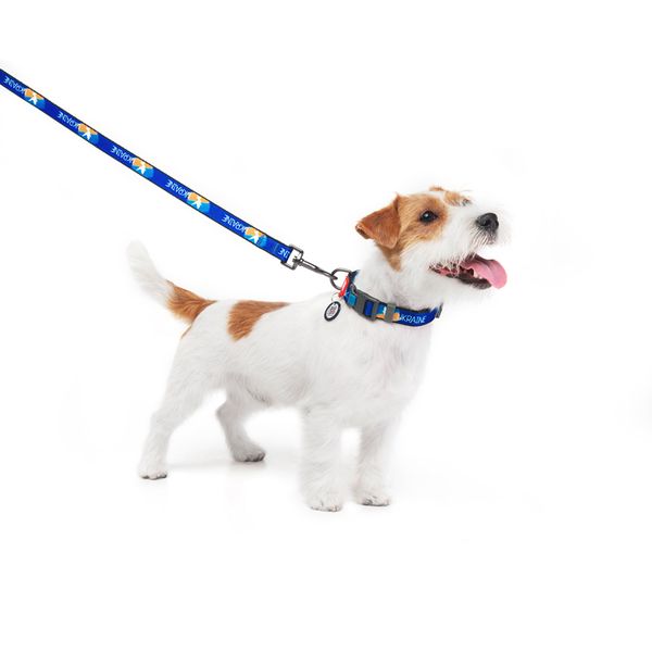 Поводок для собак нейлоновый WAUDOG Nylon "Флаг" 4915-0229 фото