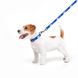 Поводок для собак нейлоновый WAUDOG Nylon "Флаг" 4915-0229 фото 4