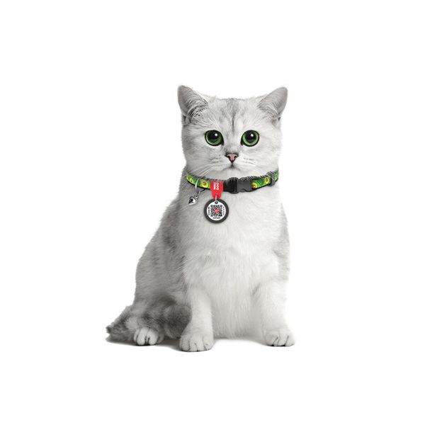 Ошейник для котов нейлоновый WAUDOG Nylon c QR паспортом, "Авокадо", пластиковый фастекс 5280 фото