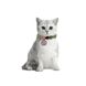 Ошейник для котов нейлоновый WAUDOG Nylon c QR паспортом, "Авокадо", пластиковый фастекс 5280 фото 3
