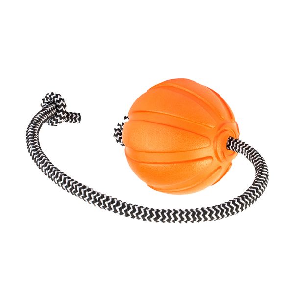 М'ячик LIKER Cord на шнуре, діаметр 5 см для цуценят і собак дрібних порід 6285 фото