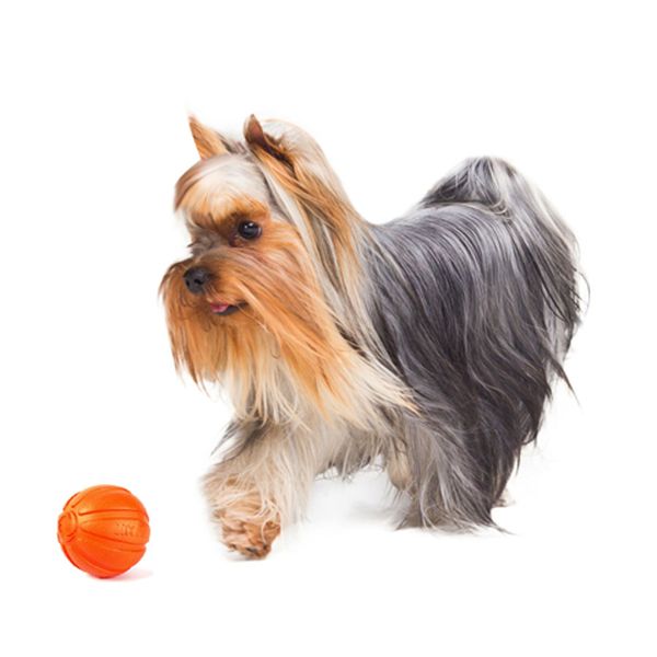LIKER 5 - мячик для щенков и собак мелких пород 6298 фото