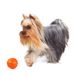 LIKER 5 - мячик для щенков и собак мелких пород 6298 фото 4