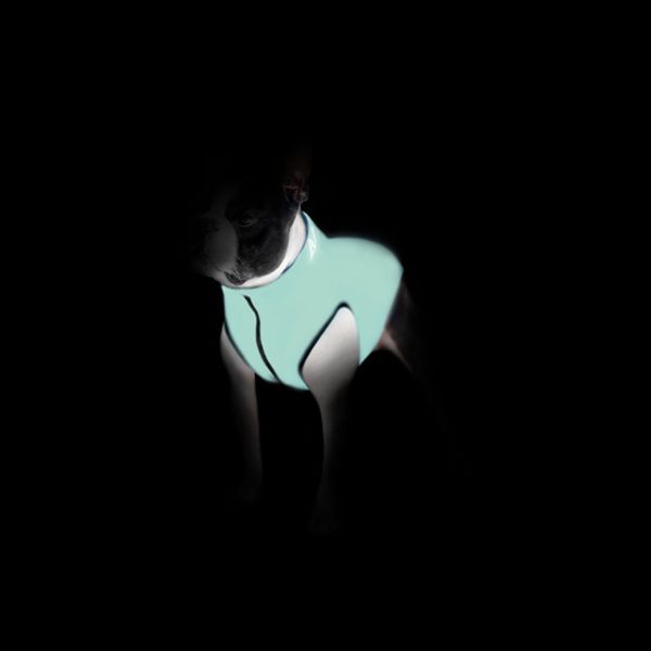 Двостороння курточка для собак AiryVest Lumi салатово-блакитна (світиться в темряві) 2140 фото