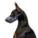 Намордник для собак WAUDOG Nylon, малюнок "Літо", пластиковий фастекс, размер №1, О 14-20 см 5370 фото 3