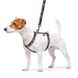 Шлея для собак анатомічна H-подібна WAUDOG Nylon з QR-паспортом, малюнок "Зубасті монстри", пластиковий фастекс, S, Ш 15 мм, A 30-40, B 30-50 320-4048 фото 3