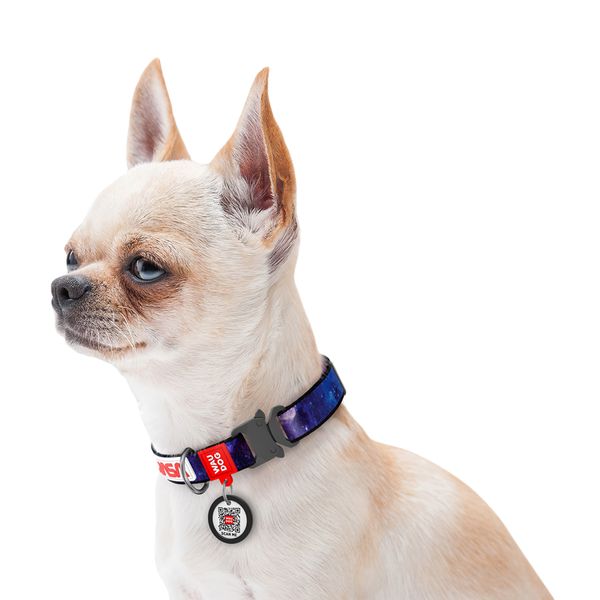 Ошейник для собак нейлоновый WAUDOG Nylon c QR-паспортом, "NASA21", металлическая пряжка-фастекс 4505-0148 фото