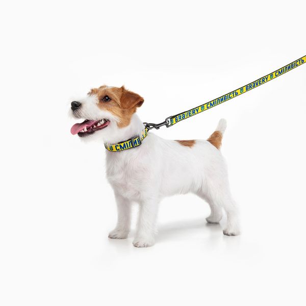 Повідець для собак нейлоновий WAUDOG Nylon "Сміливість" 4915-0231 фото