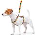 Шлея для собак анатомічна H-подібна WAUDOG Nylon з QR-паспортом, малюнок "Мохнаті монстри", пластиковий фастекс, S, Ш 15 мм, A 30-40, B 30-50 320-4050 фото 3