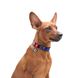Нашийник для собак нейлоновий WAUDOG Nylon з QR-паспортом, "NASA21", металева пряжка-фастекс 4505-0148 фото 4