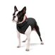Двостороння курточка AiryVest для собак, красно-черная 1603 фото 4