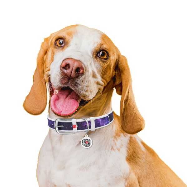 Нашийник для собак шкіряний WAUDOG Design з QR паспортом, "NASA21", XXS, білий 3601-0148-15 фото