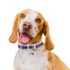 Нашийник для собак шкіряний WAUDOG Design з QR паспортом, "NASA21", XXS, білий 3601-0148-15 фото 4