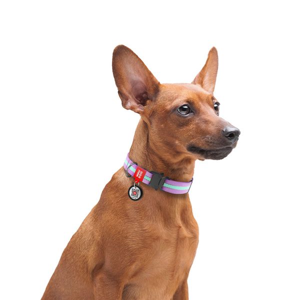 Нашийник для собак нейлоновий WAUDOG Nylon c QR паспортом, світиться/світловідбиваючий, металева пряжка-фастекс 52139 фото