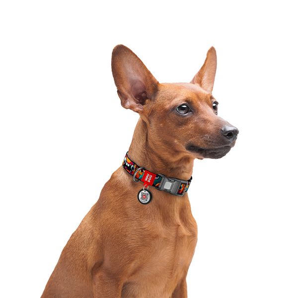 Нашийник для собак нейлоновий WAUDOG Nylon з QR паспортом, малюнок "Зубасті монстри", пластиковий фастекс, S, Ш 15 мм, Дов 25-35 см 280-4048 фото