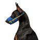 Намордник для собак WAUDOG Nylon, малюнок "Colors of freedom", пластиковий фастекс, розмір S, О 14-20 см 350-4020 фото 3