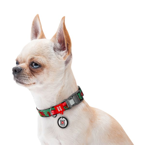 Ошейник для собак нейлоновый WAUDOG Nylon с QR паспортом, рисунок "Гранаты", пластиковый фастекс, S, Ш 15 мм, Дв 25-35 см 280-4052 фото