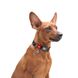 Нашийник для собак нейлоновий WAUDOG Nylon з QR паспортом, малюнок "Апельсини", пластиковий фастекс, S, Ш 15 мм, Дов 25-35 см 280-4054 фото 4