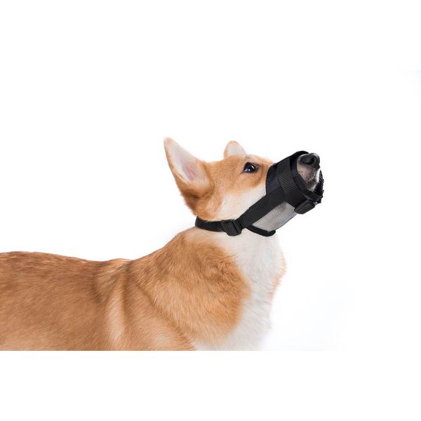 Намордник для собак нейлоновий "Dog Extremе", що регулюється з сіткою 4320 фото