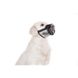 Намордник для собак нейлоновый "Dog Extremе" регулируемый с сеткой 4320 фото 7