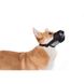 Намордник для собак нейлоновый "Dog Extremе" регулируемый с сеткой 4320 фото 5
