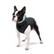 Двостороння курточка AiryVest для собак, черно-голубая 1713 фото 4